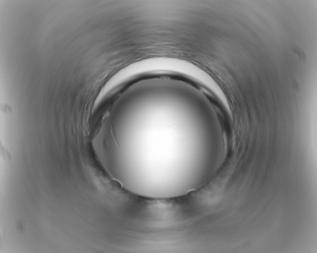 X0000091310380200708101508