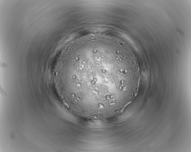 X0000091310381200708101508