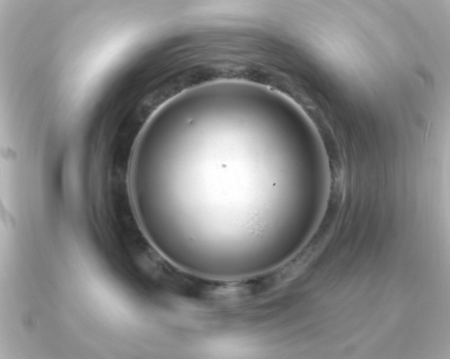 X0000091310383200708101508