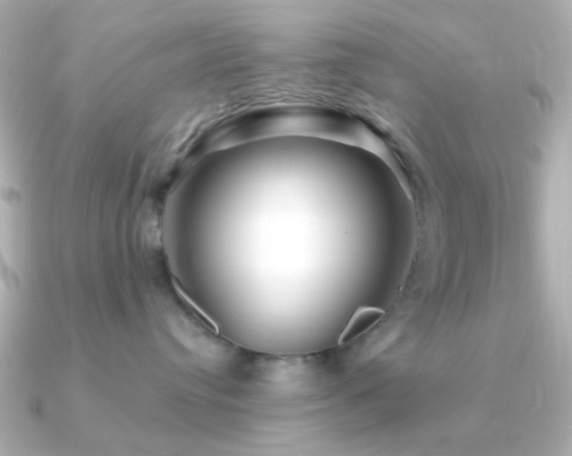 X0000091310384200708101508