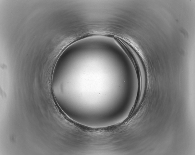 X0000091310385200708101507