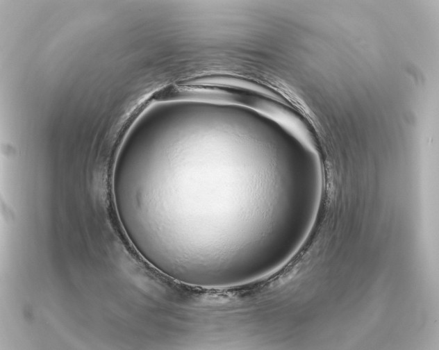 X0000091310386200708101507