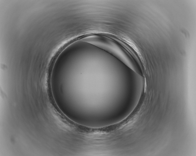 X0000091310387200708101507