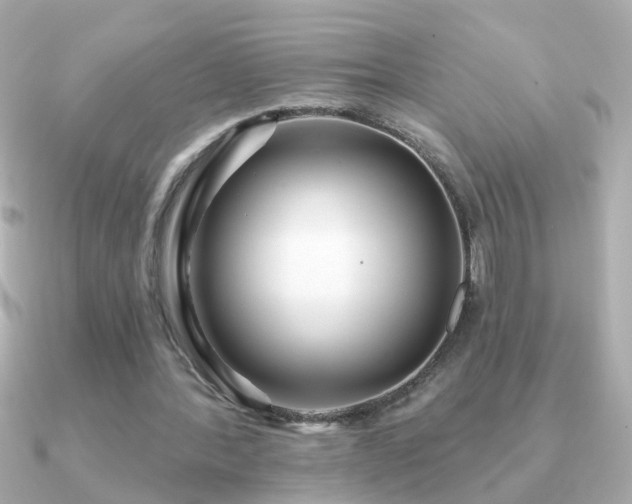 X0000091310388200708101507