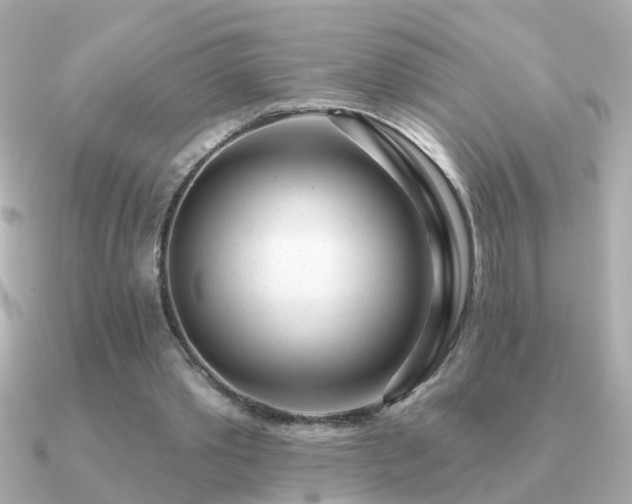 X0000091310389200708101507