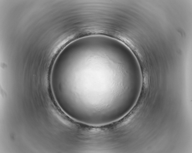 X0000091310390200708101507