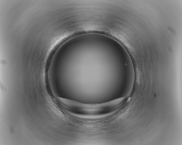 X0000091310391200708101507