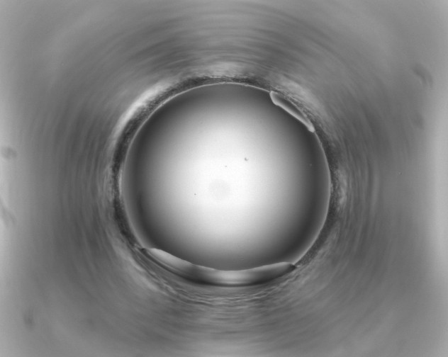 X0000091310392200708101507