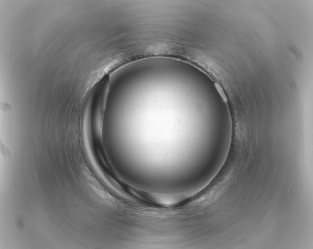 X0000091310393200708101507