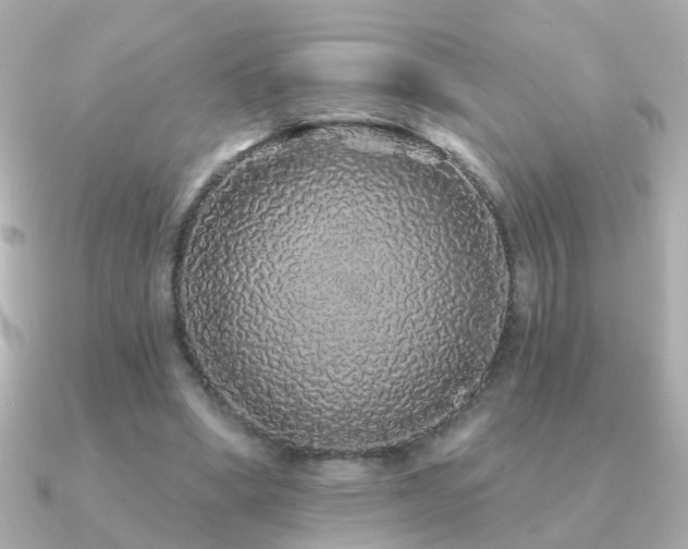 X0000091310394200708101507