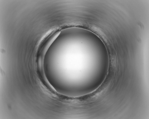 X0000091310395200708101507