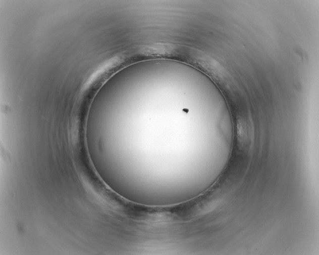 X0000091310396200708101507