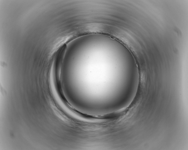 X0000091310397200708101507