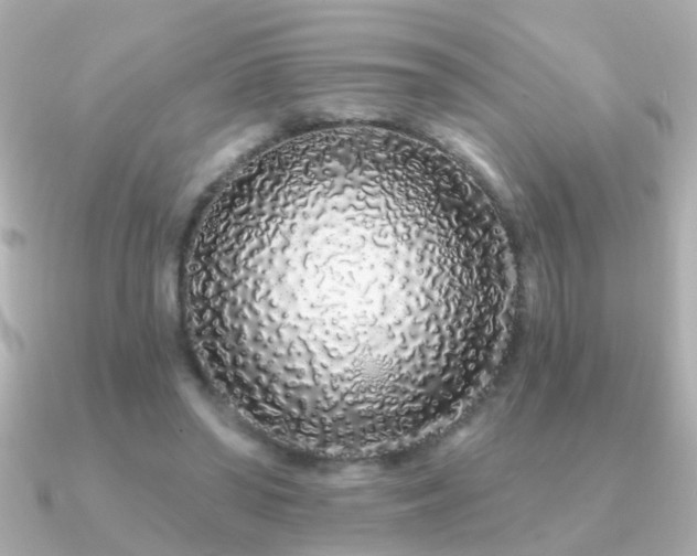 X0000091310398200708101507