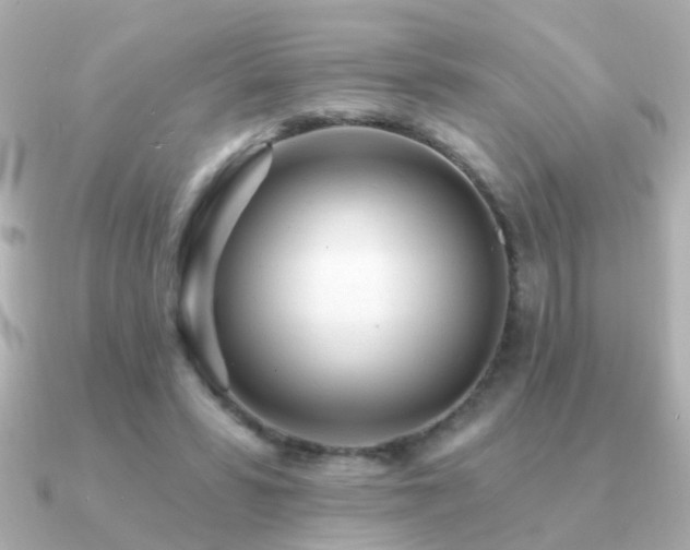 X0000091310399200708101507