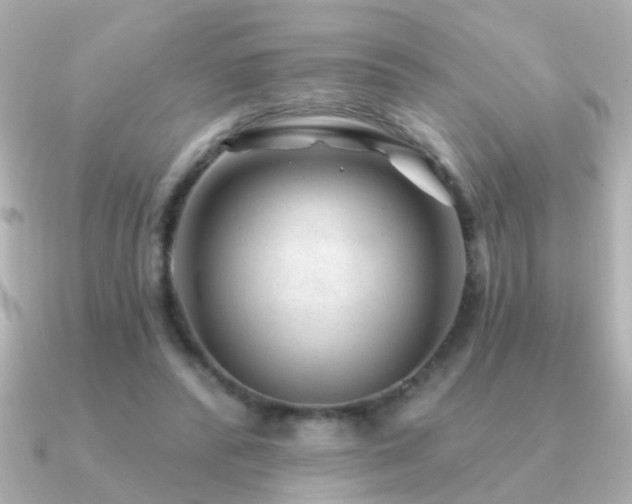 X0000091310400200708101507