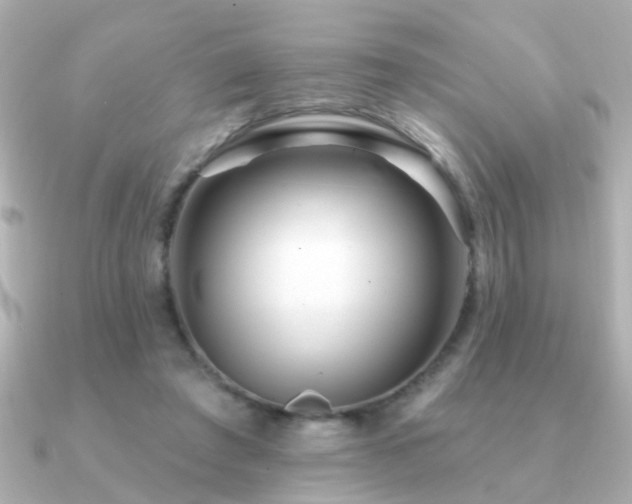 X0000091310401200708101507