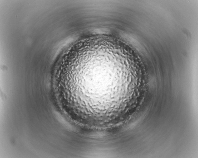 X0000091310402200708101507