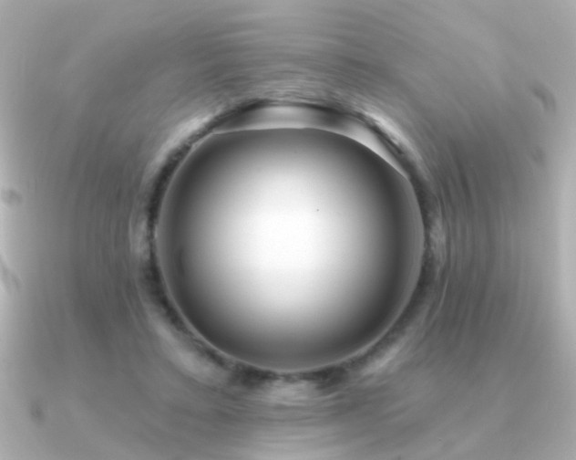 X0000091310403200708101507