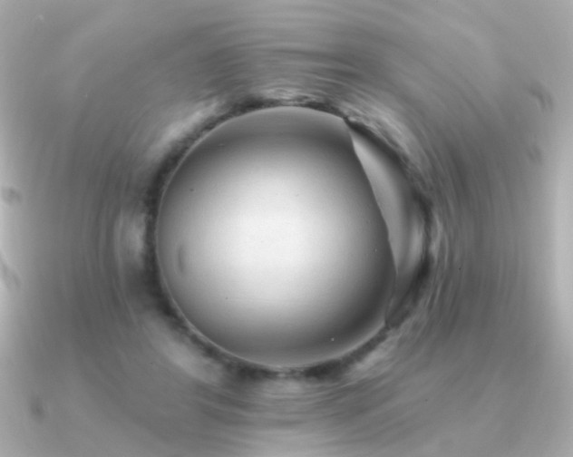 X0000091310404200708101507