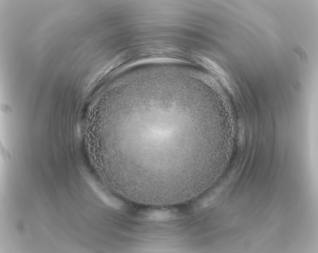 X0000091310405200708101507