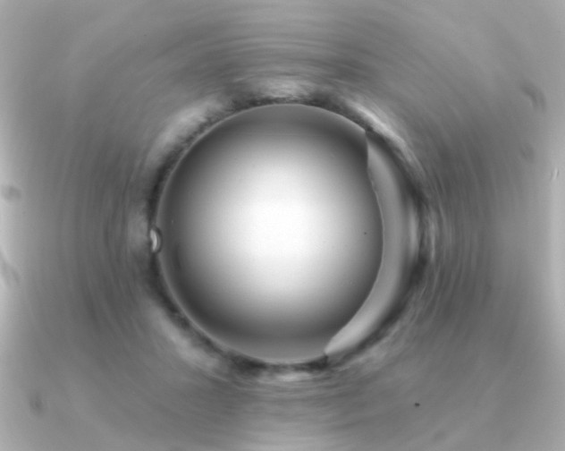 X0000091310407200708101507