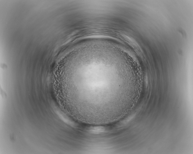 X0000091310409200708101507