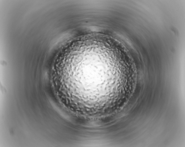 X0000091310410200708101507