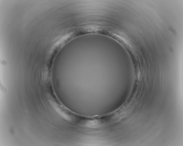 X0000091310411200708101507