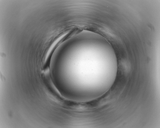 X0000091310412200708101507