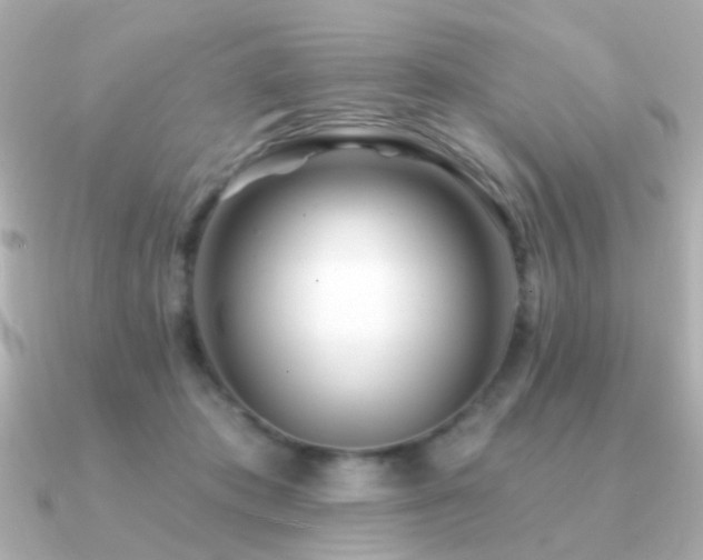 X0000091310413200708101507