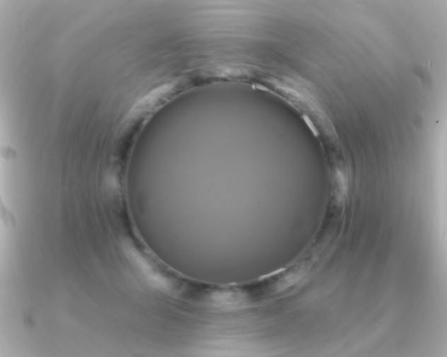 X0000091310415200708101507