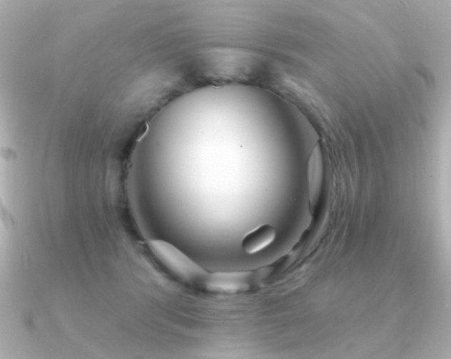 X0000091310416200708101507