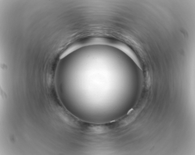 X0000091310417200708101507