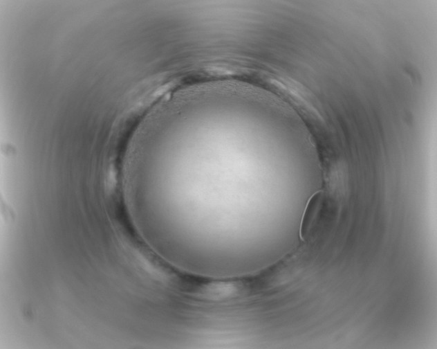 X0000091310418200708101507