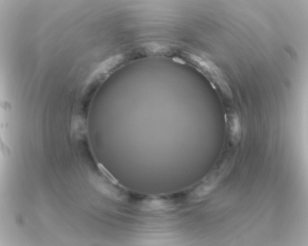 X0000091310419200708101507