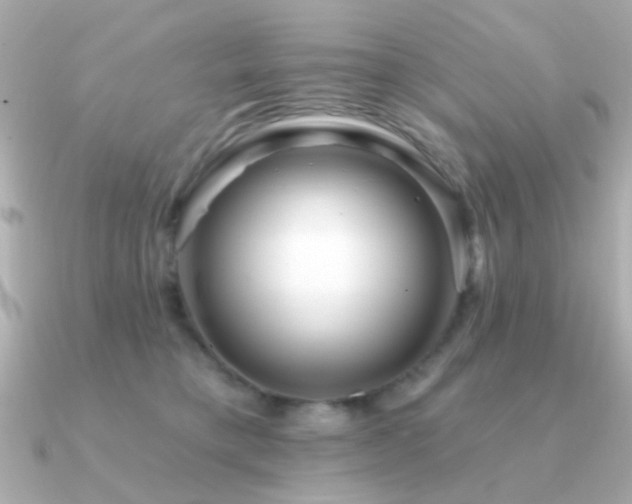 X0000091310421200708101507