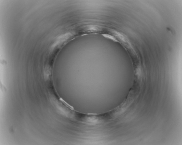 X0000091310423200708101507