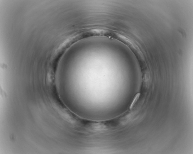 X0000091310424200708101507