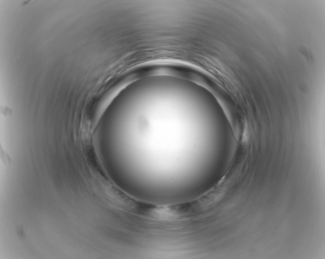 X0000091310425200708101507