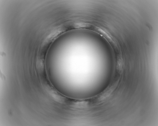 X0000091310426200708101507