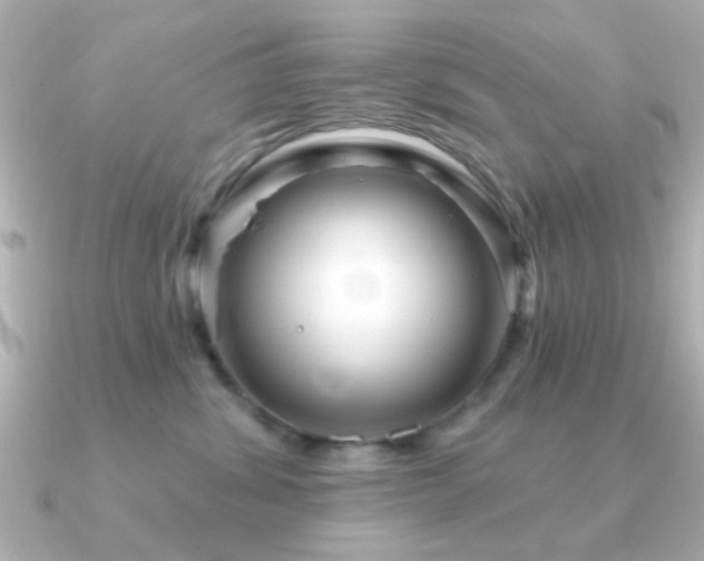 X0000091310428200708101507