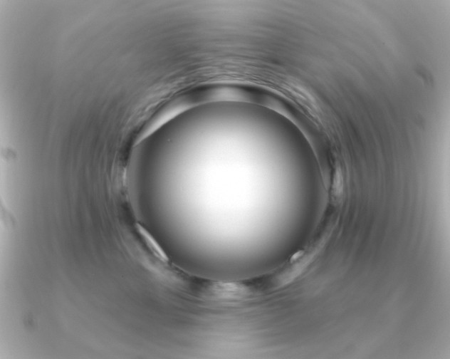 X0000091310429200708101507