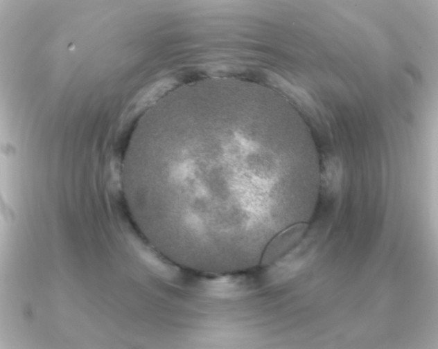 X0000091310430200708101507