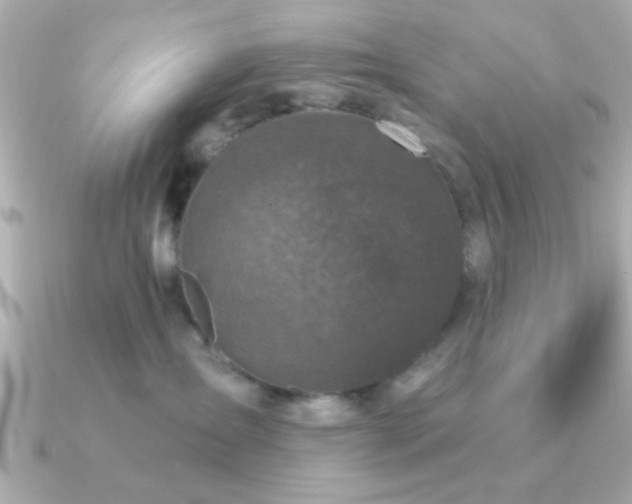 X0000091310431200708101507