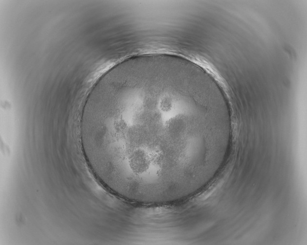 X0000091310433200708101506