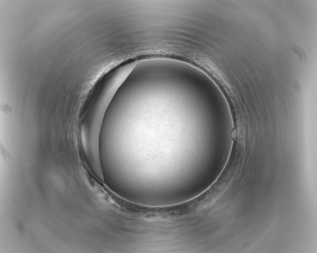 X0000091310434200708101506