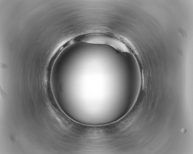 X0000091310435200708101506