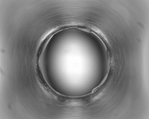 X0000091310436200708101506