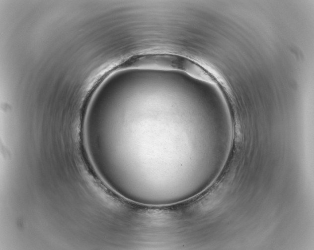 X0000091310437200708101506